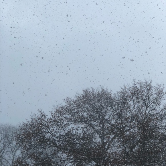 Meet your Posher, Paige - Picture 1 of 1